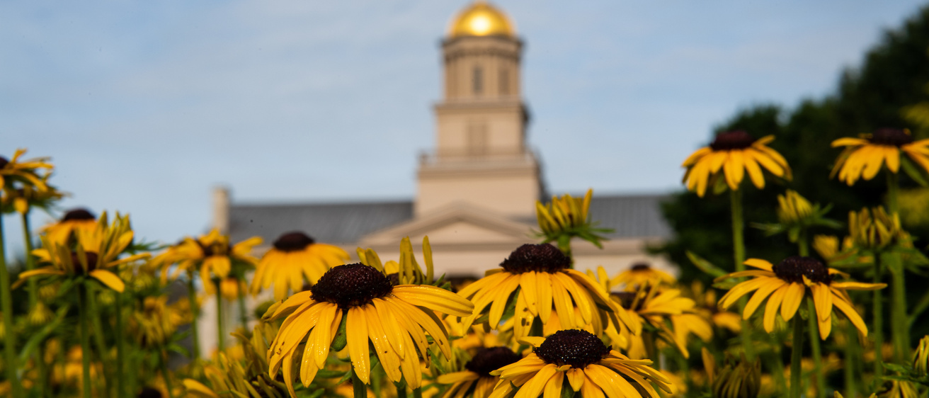 Old Capitol dome with yellow flowers in the foreground